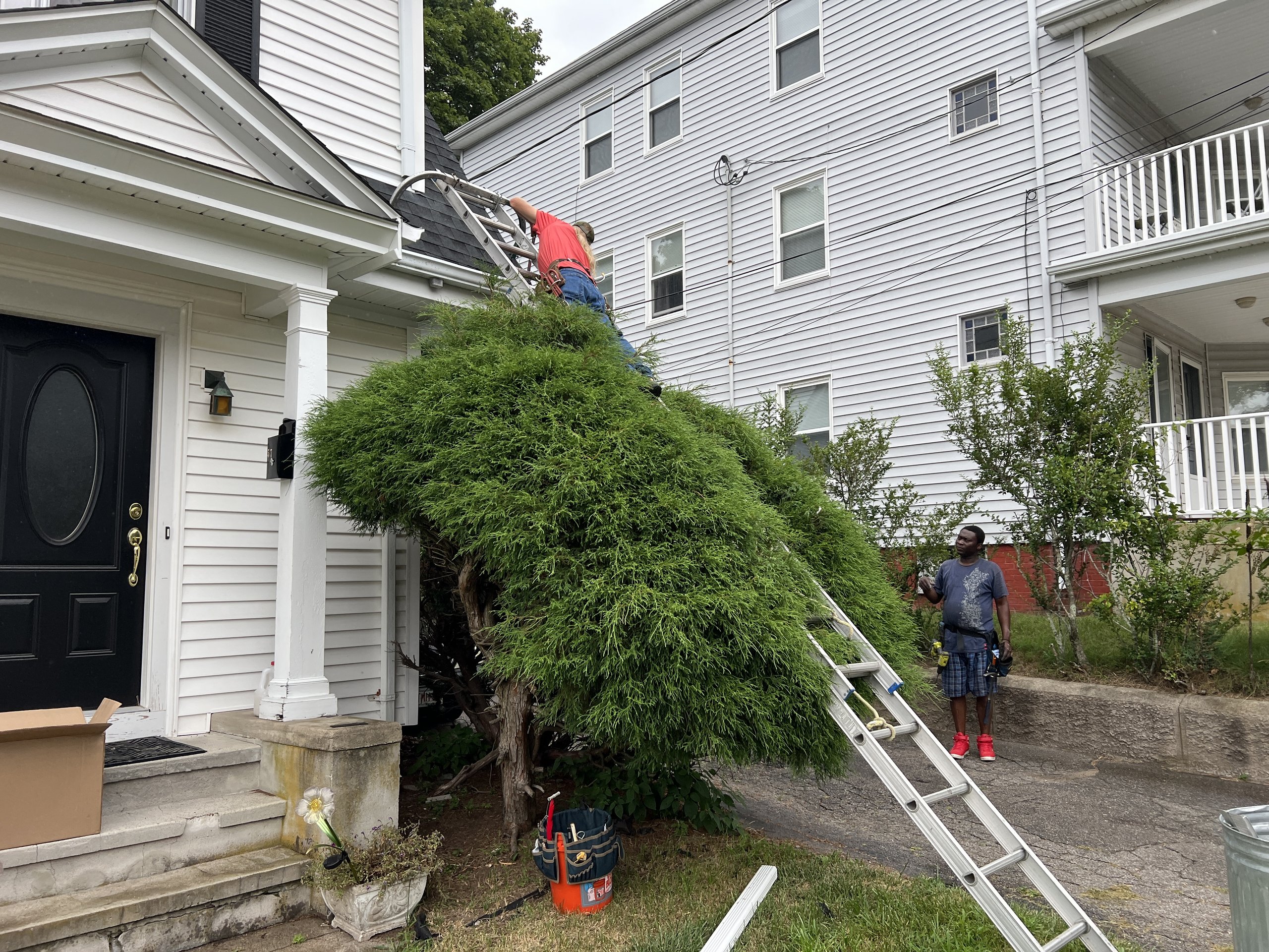 Seamless Gutters Vernon CT CT